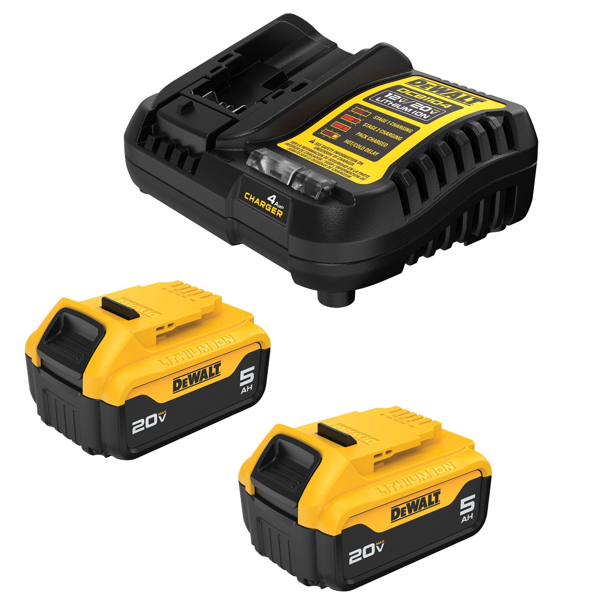 DEWALT 20V MAX* Lithium-Ion 5.0 Ah Starter Kit DCB205-2C